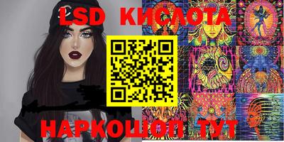 крисы Брянск