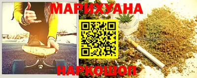 крисы Брянск