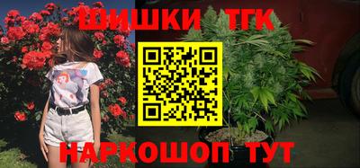 крисы Брянск