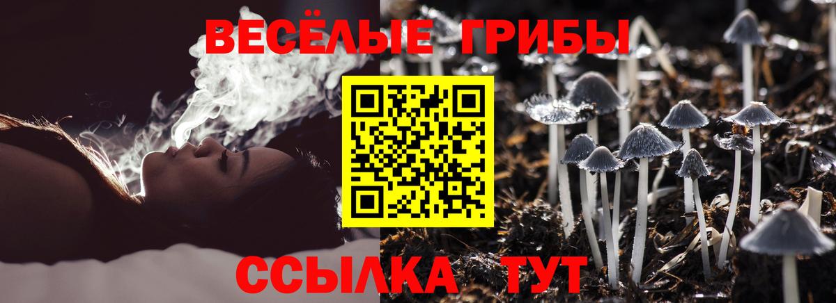 Галлюциногенные грибы GOLDEN TEACHER Артёмовский